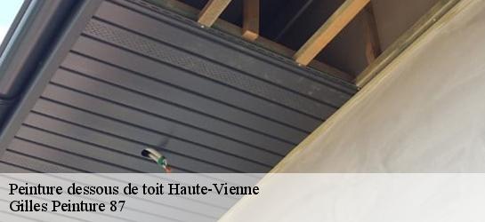 Peinture dessous de toit Haute-Vienne 