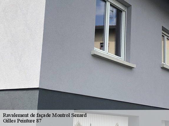 Ravalement de façade  montrol-senard-87330 Gilles Peinture 87