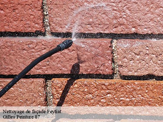 Nettoyage de façade  feytiat-87220 Gilles Peinture 87