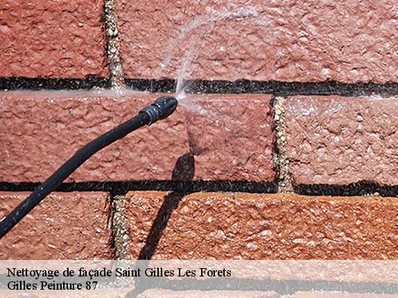Nettoyage de façade  saint-gilles-les-forets-87130 Gilles Peinture 87