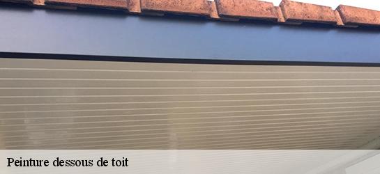 Peinture dessous de toit  87700