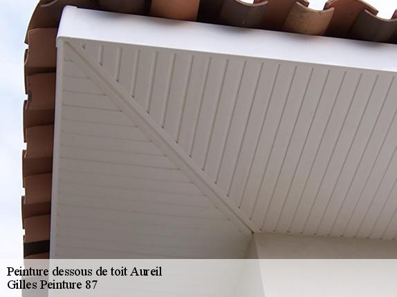 Peinture dessous de toit  aureil-87220 Gilles Peinture 87