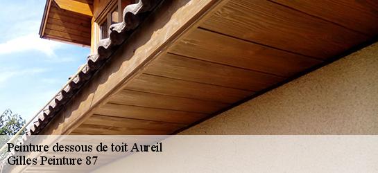 Peinture dessous de toit  87220