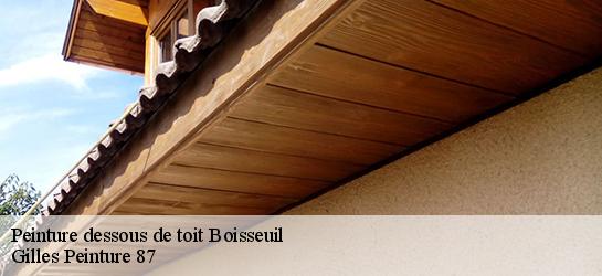 Peinture dessous de toit  87220