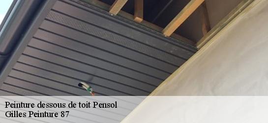 Peinture dessous de toit  87440