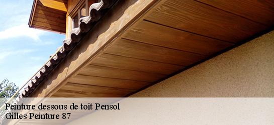 Peinture dessous de toit  87440