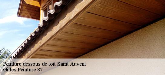 Peinture dessous de toit  87310