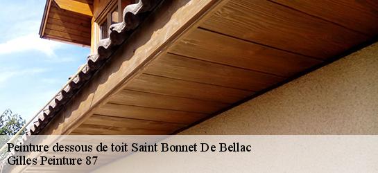 Peinture dessous de toit  87300