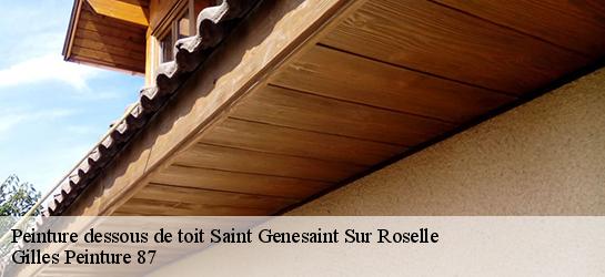 Peinture dessous de toit  87260