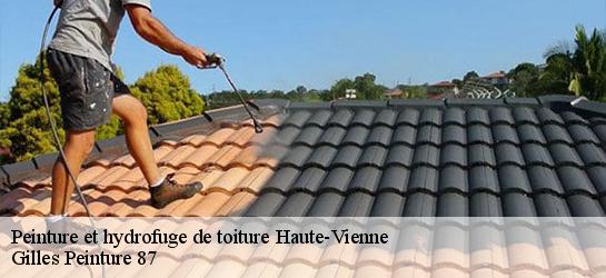 Peinture et hydrofuge de toiture Haute-Vienne 