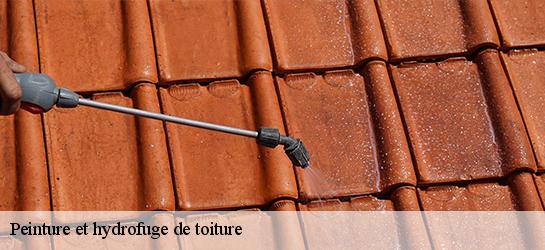 Peinture et hydrofuge de toiture  87700