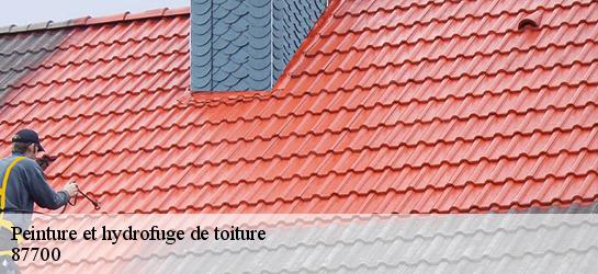 Peinture et hydrofuge de toiture  87700