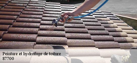 Peinture et hydrofuge de toiture  87700