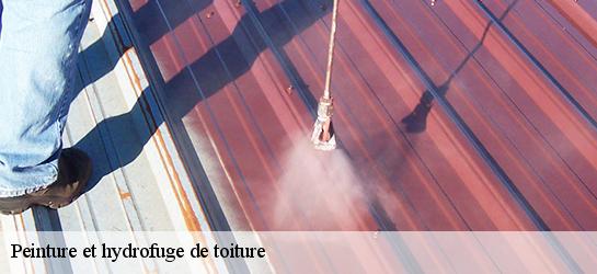 Peinture et hydrofuge de toiture  87700