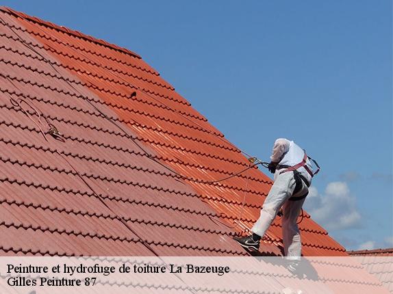 Peinture et hydrofuge de toiture  la-bazeuge-87210 Gilles Peinture 87