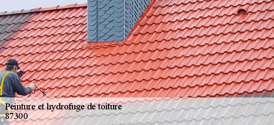 Peinture et hydrofuge de toiture  87300