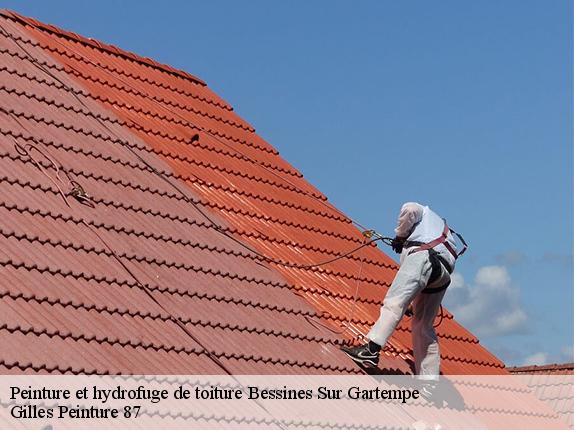 Peinture et hydrofuge de toiture  bessines-sur-gartempe-87250 Gilles Peinture 87