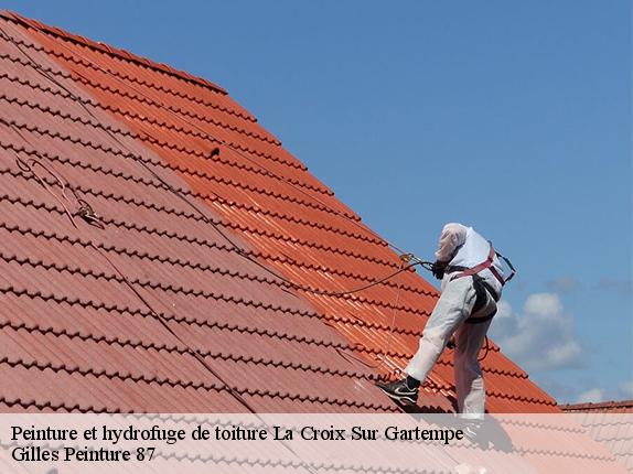 Peinture et hydrofuge de toiture  la-croix-sur-gartempe-87210 Gilles Peinture 87