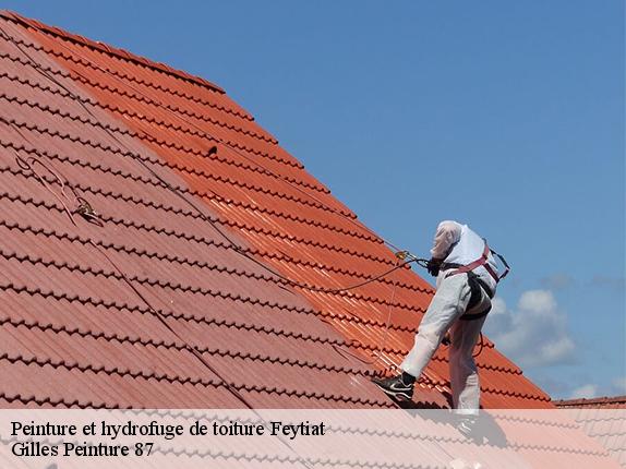 Peinture et hydrofuge de toiture  feytiat-87220 Gilles Peinture 87