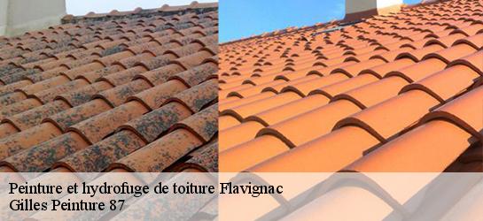 Peinture et hydrofuge de toiture  87230