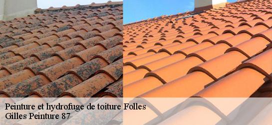 Peinture et hydrofuge de toiture  87250