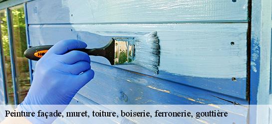 Peinture façade, muret, toiture, boiserie, ferronerie, gouttière  87600