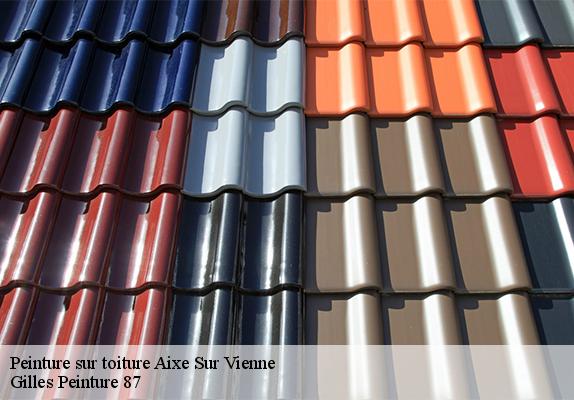 Peinture sur toiture  aixe-sur-vienne-87700 Gilles Peinture 87