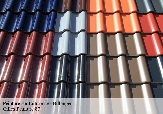 Peinture sur toiture  les-billanges-87340 Gilles Peinture 87