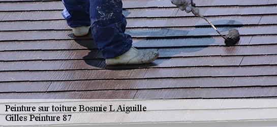 Peinture sur toiture  87110