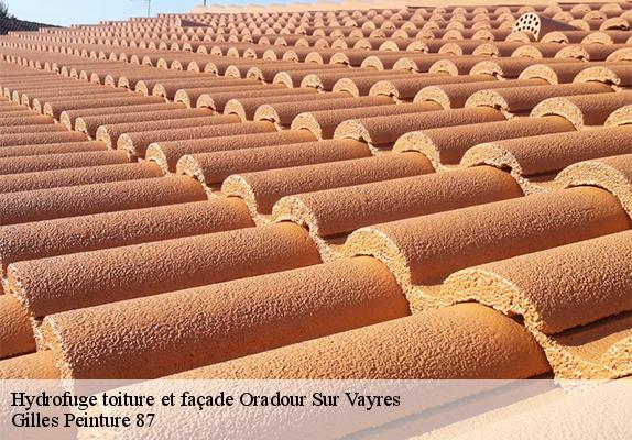 Hydrofuge toiture et façade  oradour-sur-vayres-87150 Gilles Peinture 87